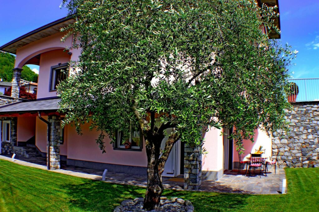 Olive Ferienwohnung mit Garten (EG) - 9