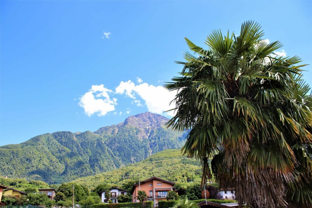 Leonardo Panorama Ferienwohnung - 2