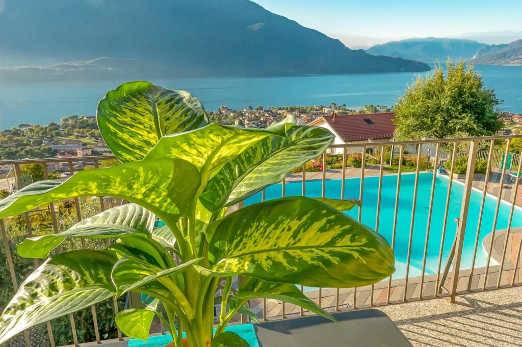 Collina Coratina Ferienwohnung (1.OG) - 1